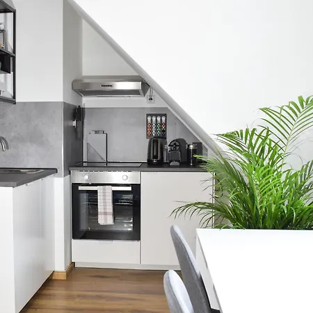 Stycoz - Modern - *